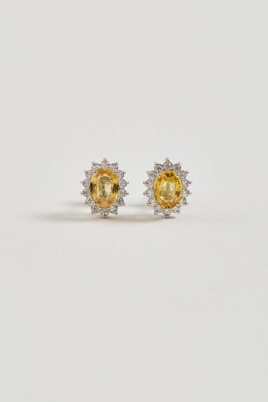 Yellow Sapphire Oval Studs